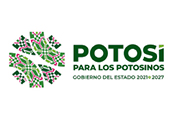 potosi 120x173px